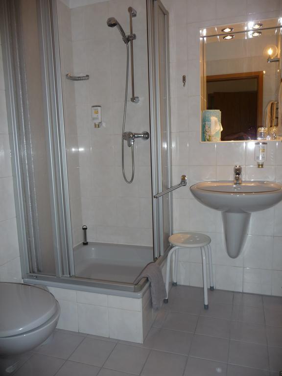 Hotel Brueckenschaenke เซบนิทซ์ ห้อง รูปภาพ